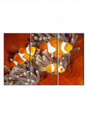 3-Piece Sea Theme Canvas Painting With Frame Multicolour 150X70centimeter