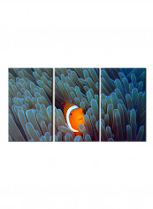 3-Piece Sea Theme Canvas Painting With Frame Multicolour 150X70centimeter