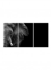 3-Piece Animal Theme Canvas Painting With Frame Multicolour 150X70centimeter