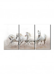 3-Piece Animal Theme Canvas Painting With Frame Multicolour 150X70centimeter
