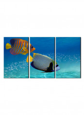 3-Piece Sea Theme Canvas Painting With Frame Multicolour 150X70centimeter