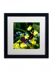 Doris Longwing Butterfly On Orchid Framed Wall Art Multicolour 16 x 16inch