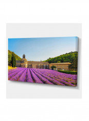 Abbey Of Senanque Lavender Flowers Wall Art Multicolour 32 x 16inch