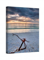Before The Storm Gallery Wrapped Canvas Wall Art Multicolour 24 x 18inch