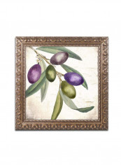 Olive Branch I Canvas Wall Art multicolour 14 x 14inch