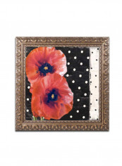 Scarlet Poppies I Wooden Framed Wall Art Multicolour 11 x 11inch