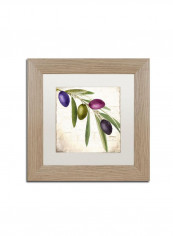 Olive Branch Iii Framed Wall Art multicolour 11 x 11inch