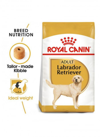 Breed Health Nutrition Labrador Adult 12kg