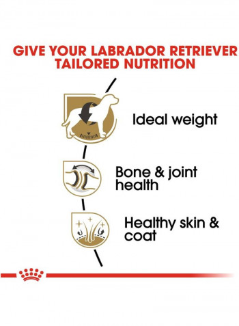 Health Nutrition For Adult Labrador Retriever 12kg