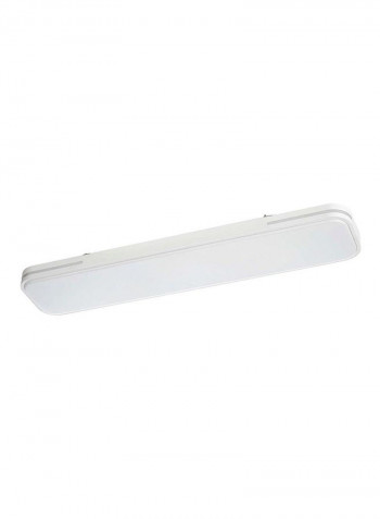 Wall And Ceiling Light White