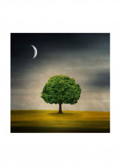 Under The Moon Canvas Wall Art Green/Black 18 x 18inch