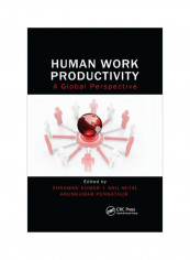 Human Work Productivity: A Global Perspective Paperback