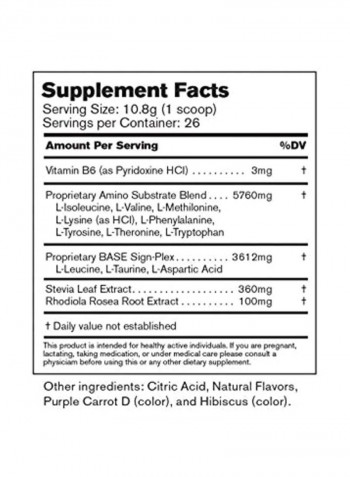 Base Amino Performance And Recovery Supplement