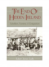 The End Of Hidden Ireland: Rebellion, Famine, And Emigration Paperback
