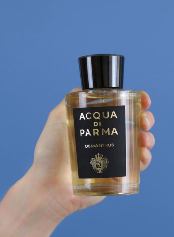 Osmanthus EDP 100ml