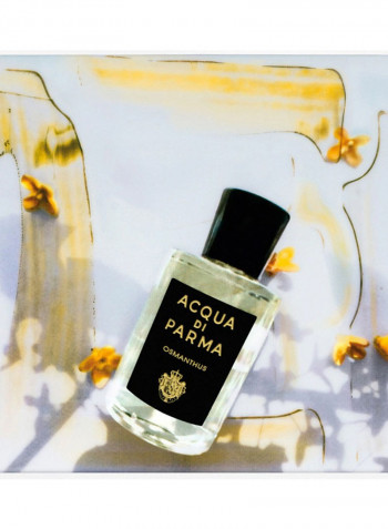 Osmanthus EDP 100ml