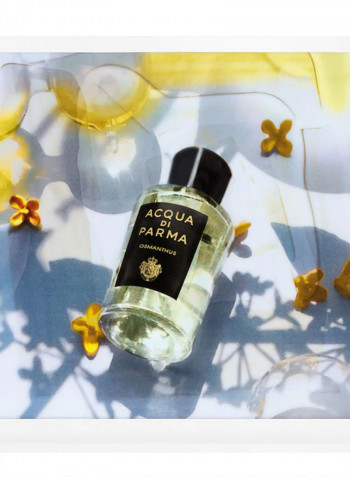Osmanthus EDP 100ml