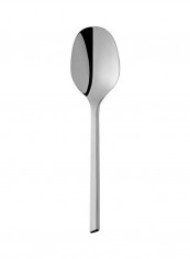 Stainless Steel Spoon Silver