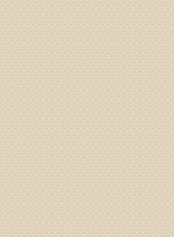 Single Sunscreen Collection 2 Roller Window Shades Ivory 120x175cm