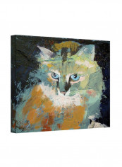 Himalayan Cat Gallery Wrapped Canvas Wall Art Multicolour 18 x 24inch