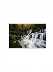 The Song Of Autumn Artwork Canvas Wall Art White/Green 16 x 24inch