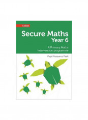 Secure Math Year 6 Pupil Resource Pack: A Primary Maths Intervention Programme Paperback