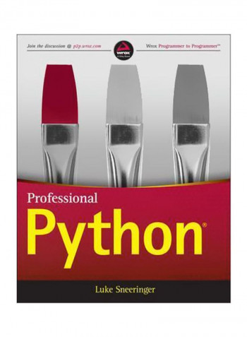 Professional Python Paperback