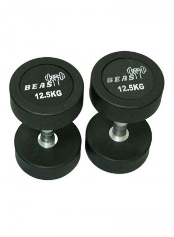 2-Piece Round Rubber Encased Dumbbell Pair 12.5kg