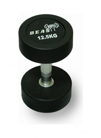 2-Piece Round Rubber Encased Dumbbell Pair 12.5kg