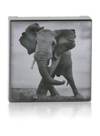 Luminescent Eye Shadow Elephant (Shimmering Taupe Grey)