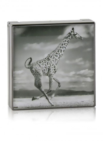 Luminescent Eye Shadow Giraffe (Burnished Brown)