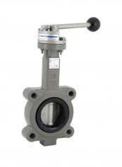 Ductile Iron Lug Type Butterfly Valve Grey/Black 2.5inch