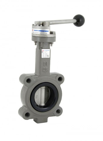 Ductile Iron Lug Type Butterfly Valve Grey/Black 2.5inch