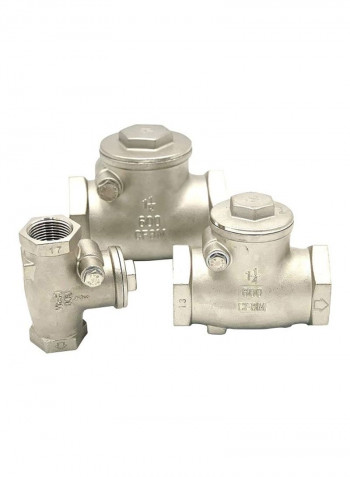 Stainless Steel Check Valve Silver