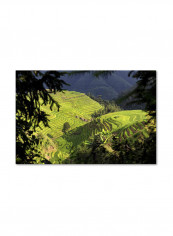 Longsheng Canvas Wall Art Green 16 x 24inch