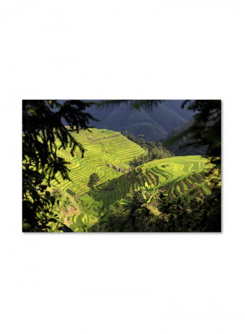 Longsheng Canvas Wall Art Green 16 x 24inch