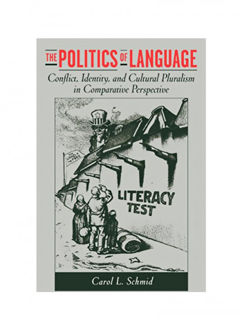 The Politics Of Language : Conflict, Identity, And Cultural Pluralism In Comparative Perspective Paperback