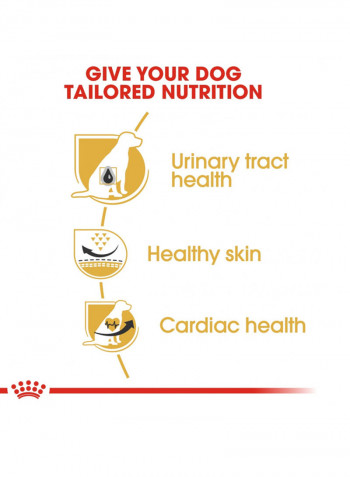 Dalmatian Urinary Tract Health Formula 12kg