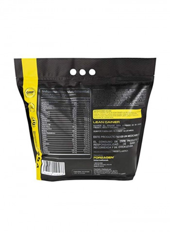Lean Gainer Premium Mass Builder - Dutch Chocolate