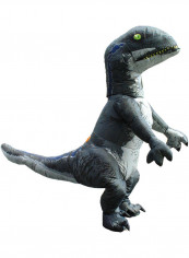Dinosaur Inflatable Costumes