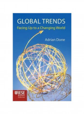 Global Trends: Facing Up To A Changing World Hardcover
