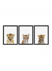 Pack Of 3 Lion Cub Nursery Poster With Frame Multicolour 50 x 40centimeter