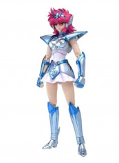 Saint Cloth Myth Equuleus Shoko Action Figure