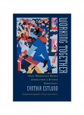 Working Together: How Workplace Bonds Strengthen a Diverse Democracy Paperback