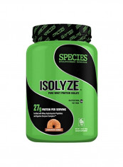 Isolyze Pure Whey Protein Isolate - Cinnamon Donut
