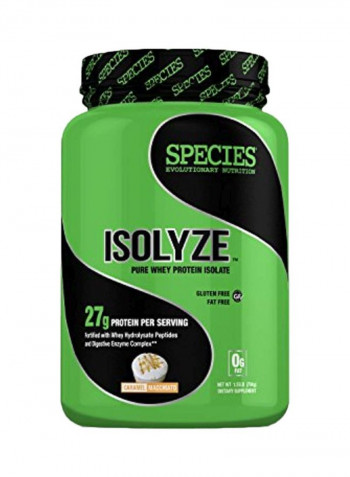 Isolyze Pure Whey Protein Isolate