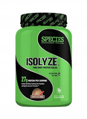 Isolyze Whey Protein Dietary Supplement - Chocolate Mix
