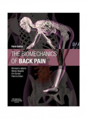 The Biomechanics Of Back Pain Hardcover English by Michael A. Adams - 1-Oct-12