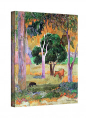 Dominican Landscape Canvas Wall Art Multicolour 18 x 14inch
