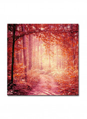 Enchanted Forest Canvas Wall Art Multicolour 18 x 18inch
